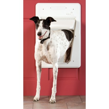 pet door