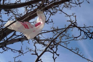plastic-bags