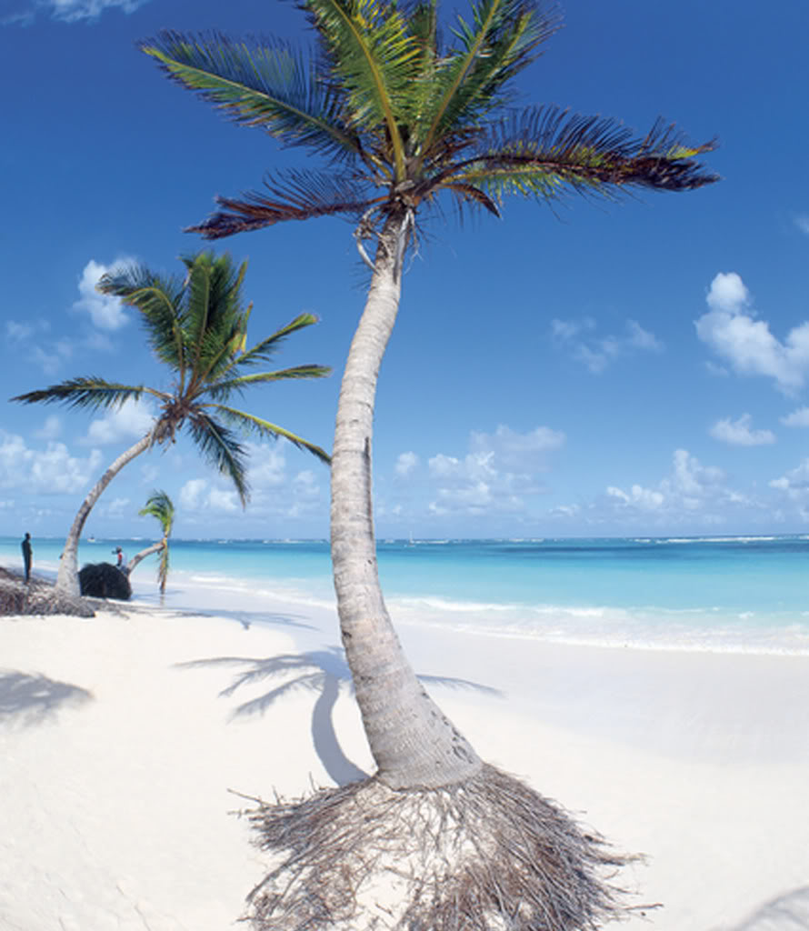 Punta, Cana
