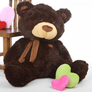 teddy bear