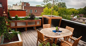 terrace garden tips