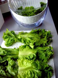 top 10 kosher kitchen rules washing veggies 