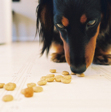 Treats