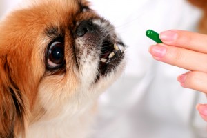 vitamins