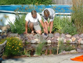 backyard water features