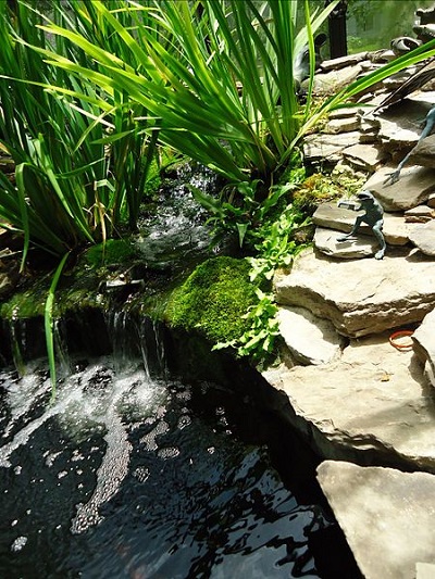 Wondrous Waterfalls