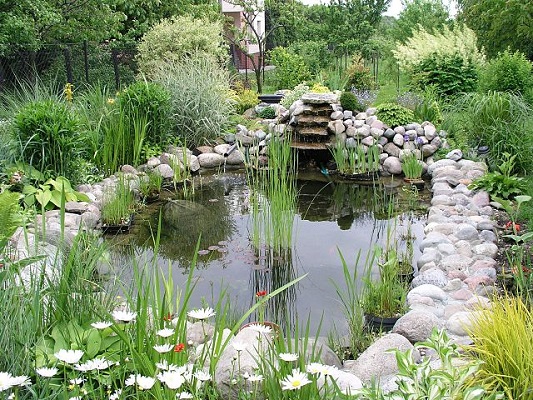 Ornamental Ponds