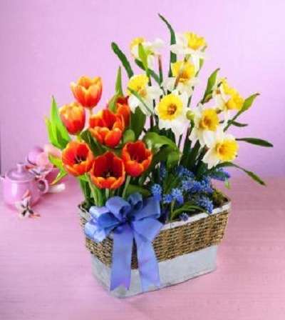 Full of Flowers