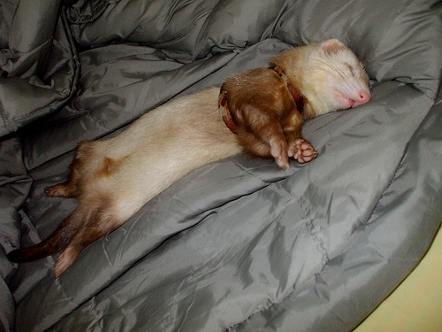 sleepy