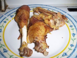 NO Animal Products