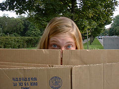 In a Cardboard Box