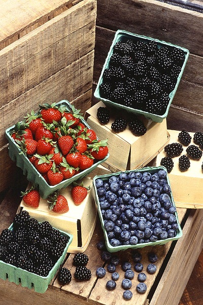Freezing Berries