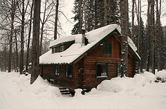 Rustic Cabin in the Woods
