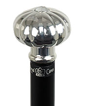 Cane/Walking Stick