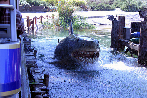 Shark – Jaws