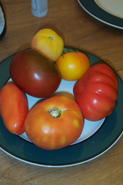 Freezing Tomatoes