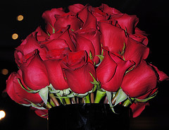 Send Her Flowers