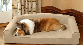  Dog Beds