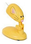 Cat Toys