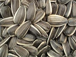 Sunflower/Pumpkin seeds