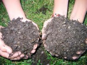 compost tips