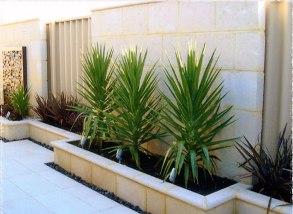garden designs