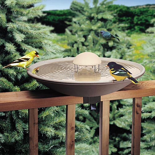 modern bird bath