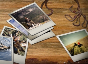 organize photos