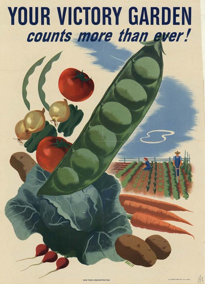 Victory Garden Blog