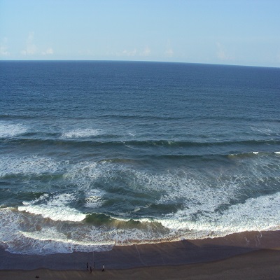 The Ocean