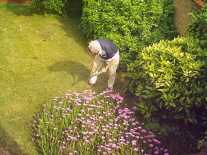  Gardening in the Suburbs