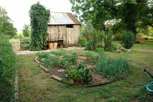 Vegetable Garden