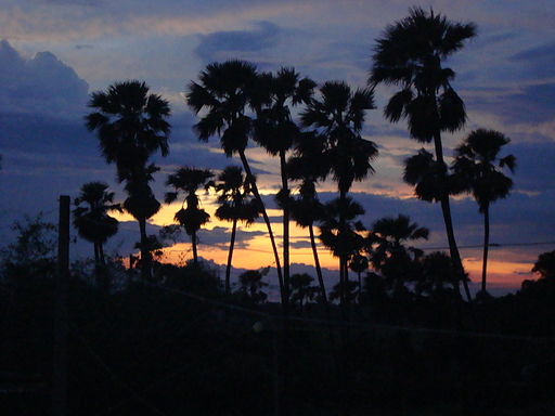  Region of the country