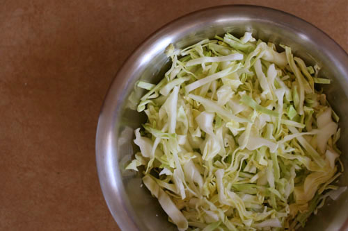 Easiest Coleslaw