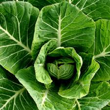  Greens
