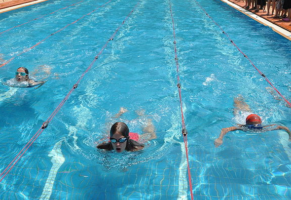 Swim Relays