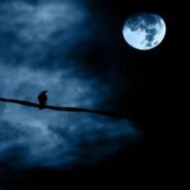 people who work at night
