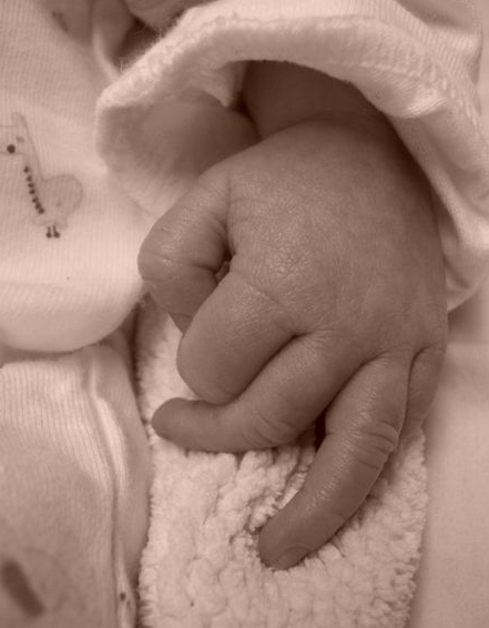 Baby Albums