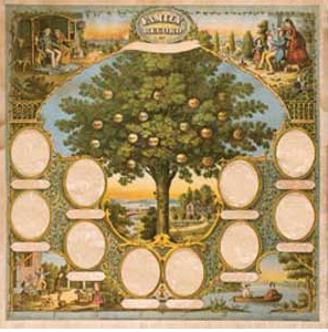  Family Tree