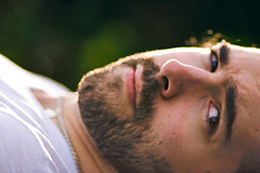  The Unibrow