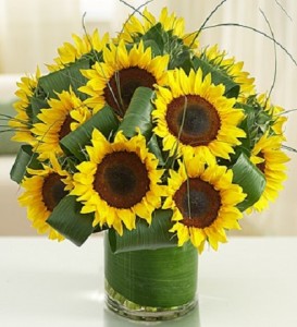 Sunflowers
