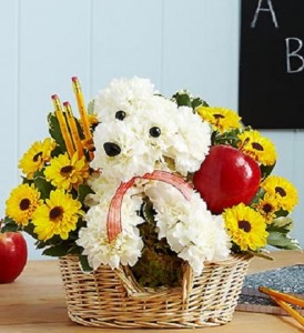 Carnations