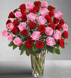 Roses