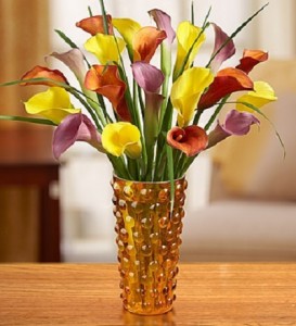 Lilies