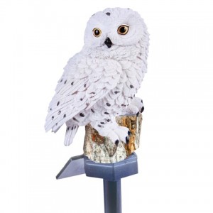 garden owl