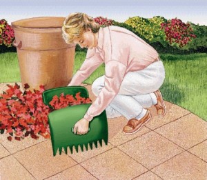 Clean up the Lawn