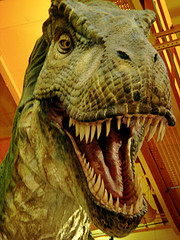 Dino Land