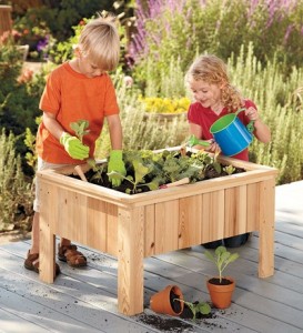 Plant an Autumn Garden