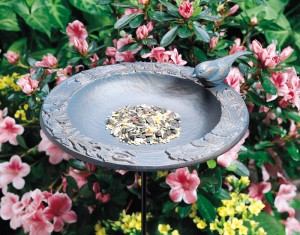 bird feeder