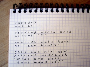 keep track of things